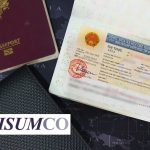 Thủ tục xin gia hạn visa làm việc cho người nước ngoài tại Bình Định